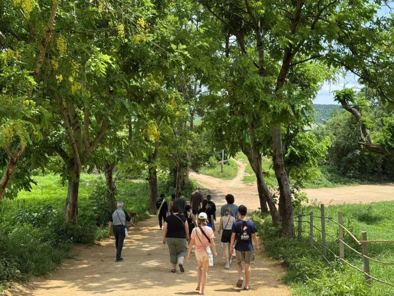 20a838fdc808f9ab348c6476a33cafb