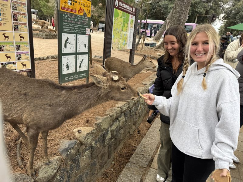 SBCC Japan Spring 2025 - 5